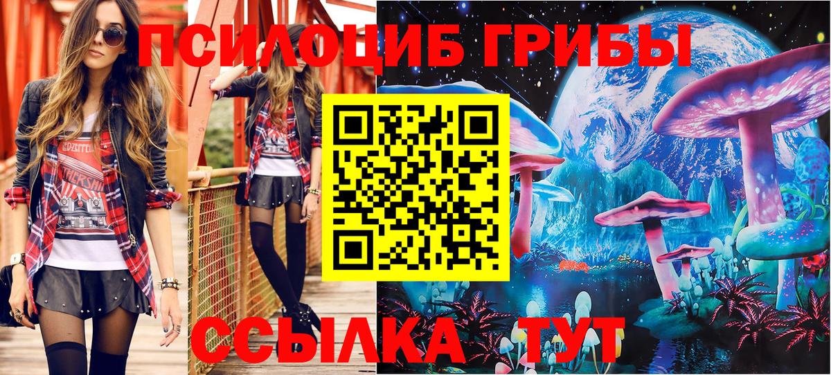 Псилоцибиновые грибы Psilocybe Краснотурьинск